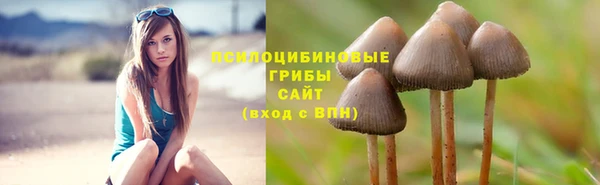 дживик Баксан