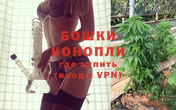 крисы Балахна