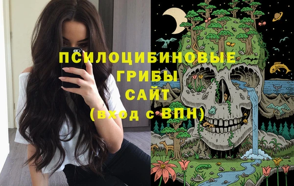 крисы Балахна