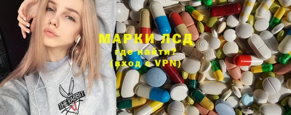 дживик Баксан